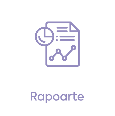 icon-rapoarte